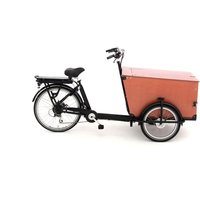 Babboe Pro Trike-E 265 L 500Wh