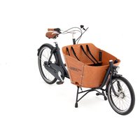 Babboe Mini Mountain 500Wh