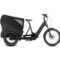 Cube Trike Cargo Hybrid 750